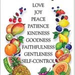 Fruit Of The Spirit Bible