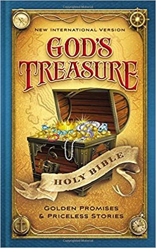 NIV Mr God's Treasure Holy Bible NIV Mr God's Treasure Holy Bible